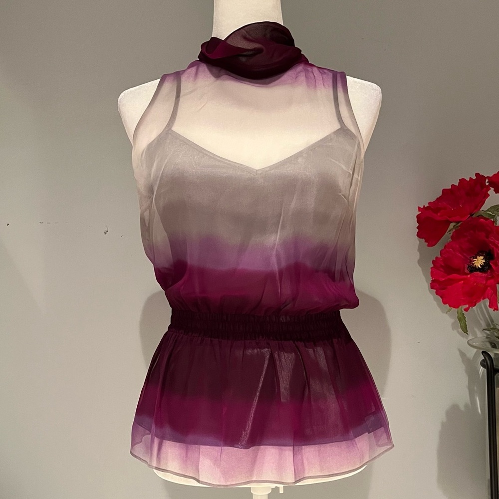 New Silk Antonio Melani Ombre Gathered Waist Semi Sheer Top Cami Set Sz XS NWOT